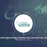 Cbd ca&ntilde;amo gotas