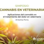 Cbd para convulsiones en perros