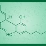 Como hacer cbd en casa
