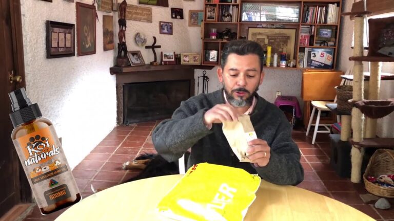 Como administrar cbd a un perro