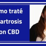 Aceite de cbd 10