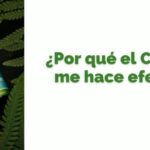 Como hacer cbd en casa