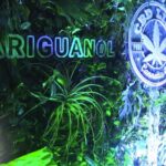 Cannabix cbd para que sirve