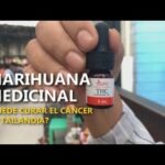 Cbd para la memoria
