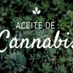 Aceite cbd espectro completo
