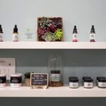 Como extraer cbd de la planta