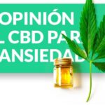 Como hacer cbd en casa