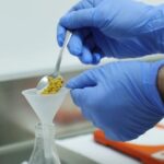 Como hacer cbd en casa