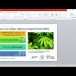 Requisitos para plantar cbd en espa&ntilde;a