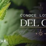 Cbd propiedades antiinflamatorias