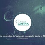 Diferencia entre aceite de ca&ntilde;amo y cbd