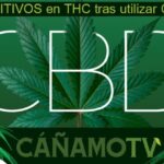 Cuanto dura el cbd en orina