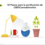 Aceite de cbd 10