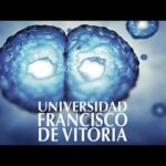 Beneficios de consumir cbd