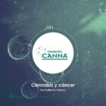 Beneficios de consumir cbd