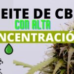 Aceite de cbd 10