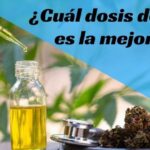 Cbd ca&ntilde;amo gotas