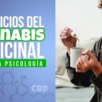 Beneficios de consumir cbd