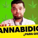 Beneficios del cbd en el cabello