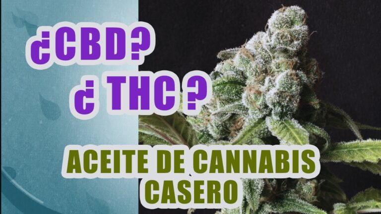 Como hacer cbd en casa
