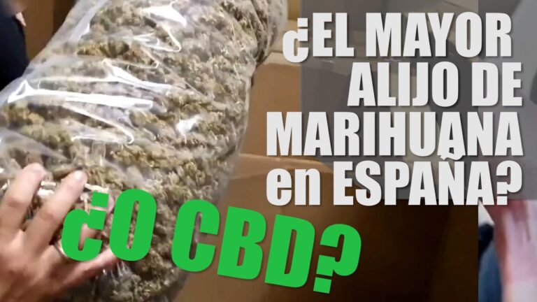 Cbd para la resaca